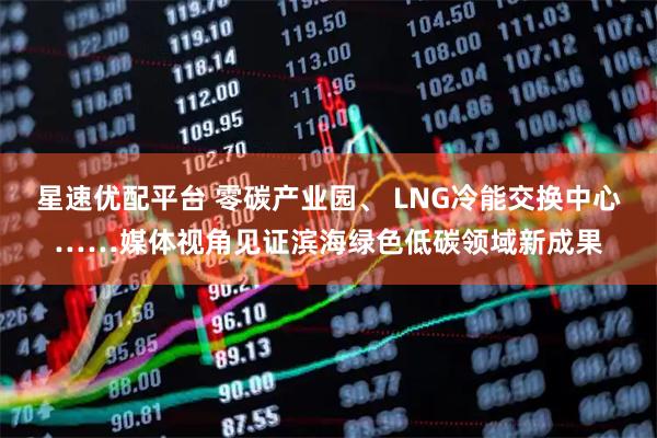 星速优配平台 零碳产业园、 LNG冷能交换中心……媒体视角见证滨海绿色低碳领域新成果