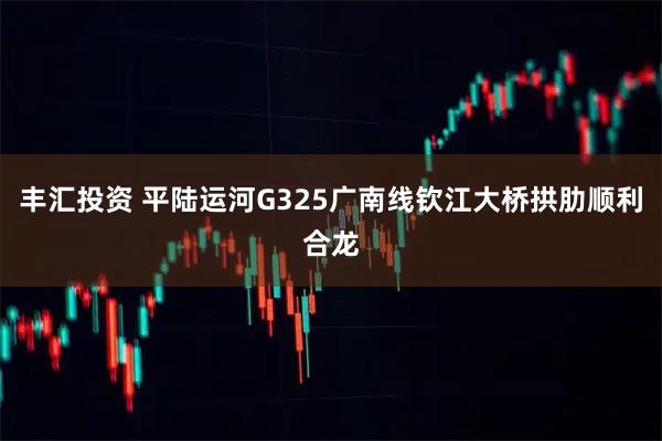 丰汇投资 平陆运河G325广南线钦江大桥拱肋顺利合龙